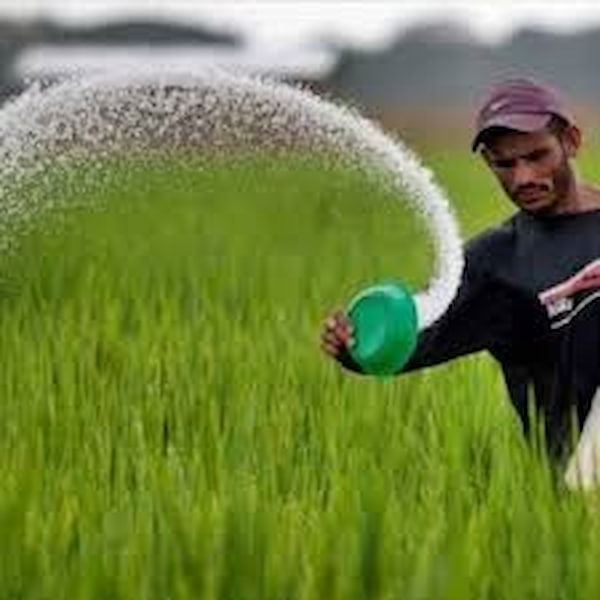 تصویر 1 از قیمت کود غیر شیمیایی کشاورزی + خرید باور نکردنی
